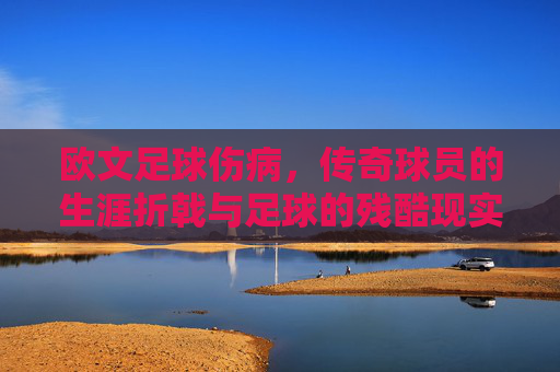 欧文足球伤病，传奇球员的生涯折戟与足球的残酷现实，欧文足球伤病，传奇球员的生涯折戟与足球的残酷现实