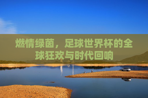 燃情绿茵,足球世界杯的全球狂欢与时代回响