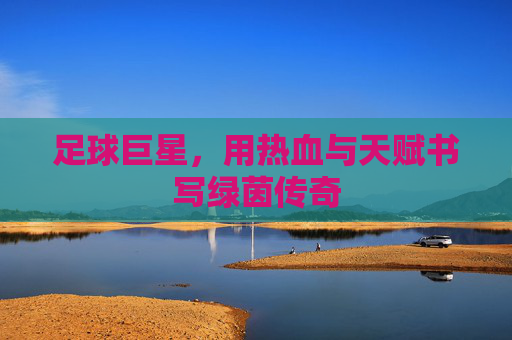 足球巨星，用热血与天赋书写绿茵传奇