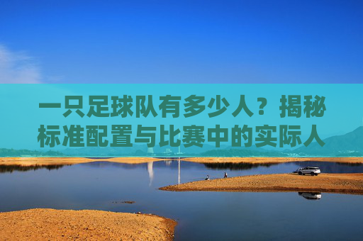 一只足球队有多少人?揭秘标准配置与比赛中的实际人数
