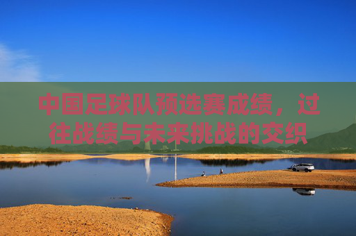中国足球队预选赛成绩，过往战绩与未来挑战的交织