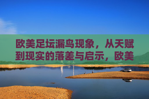 欧美足坛漏鸟现象,从天赋到现实的落差与启示,欧美足坛漏鸟现象,从天赋到现实的落差与启示