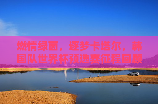 燃情绿茵,逐梦卡塔尔,韩国队世界杯预选赛征程回顾与展望