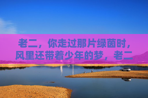 老二,你走过那片绿茵时,风里还带着少年的梦,老二,你走过那片绿茵时,风里还带着少年的梦