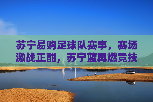 苏宁易购足球队赛事,赛场激战正酣,苏宁蓝再燃竞技激情,苏宁易购足球队赛事激战正酣,竞技激情由苏宁蓝点燃