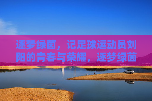 逐梦绿茵，记足球运动员刘阳的青春与荣耀，逐梦绿茵，记足球运动员刘阳的青春与荣耀