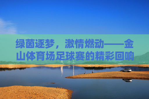绿茵逐梦，激情燃动——金山体育场足球赛的精彩回响，绿茵逐梦，激情燃动——金山体育场足球赛的精彩回响