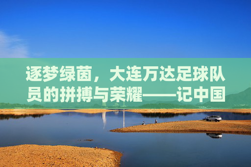 逐梦绿茵,大连万达足球队员的拼搏与荣耀——记中国足球的金童军与时代印记,逐梦绿茵,大连万达足球队员的拼搏与荣耀——记中国足球的金童军与时代印记