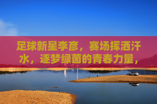 足球新星李彦，赛场挥洒汗水，逐梦绿茵的青春力量，足球新星李彦，赛场挥洒汗水，逐梦绿茵的青春力量