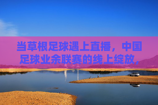 当草根足球遇上直播,中国足球业余联赛的线上绽放,当草根足球遇上直播,中国足球业余联赛的线上绽放