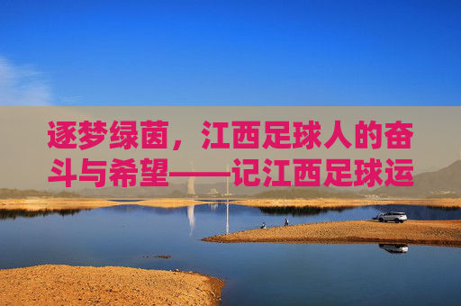 逐梦绿茵，江西足球人的奋斗与希望——记江西足球运动员的青春与担当，逐梦绿茵，江西足球人的奋斗与希望——记江西足球运动员的青春与担当