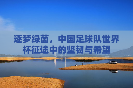 逐梦绿茵，中国足球队世界杯征途中的坚韧与希望