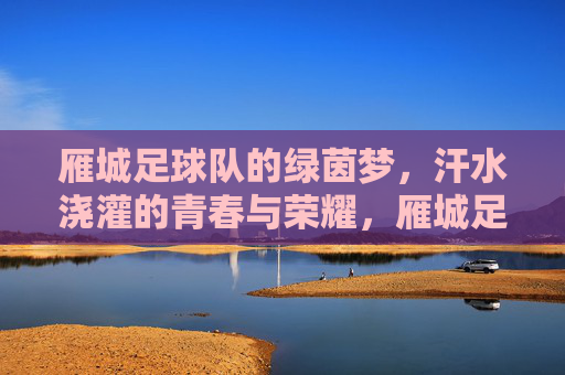 雁城足球队的绿茵梦，汗水浇灌的青春与荣耀，雁城足球队的绿茵梦，汗水浇灌的青春与荣耀