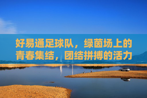 好易通足球队，绿茵场上的青春集结，团结拼搏的活力象征，好易通足球队，绿茵场上的青春集结，团结拼搏的活力象征