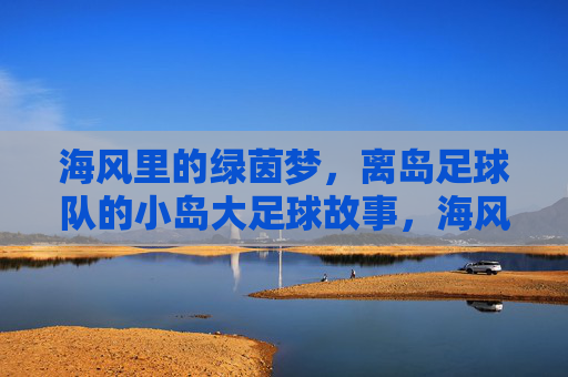 海风里的绿茵梦,离岛足球队的小岛大足球故事,海风里的绿茵梦,离岛足球队的小岛大足球故事