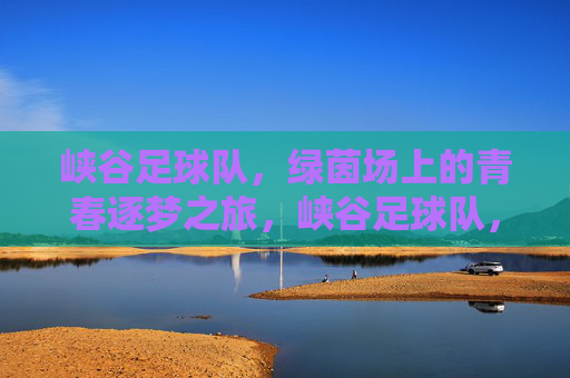 峡谷足球队，绿茵场上的青春逐梦之旅，峡谷足球队，绿茵场上的青春逐梦之旅