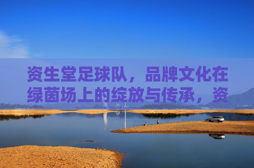 资生堂足球队，品牌文化在绿茵场上的绽放与传承，资生堂足球队，品牌文化在绿茵场上的绽放与传承