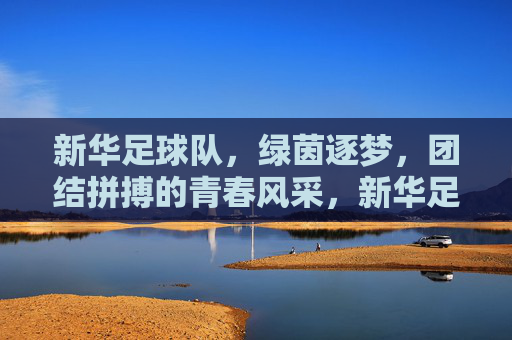 新华足球队,绿茵逐梦,团结拼搏的青春风采,新华足球队,绿茵逐梦,团结拼搏的青春风采