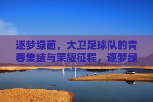 逐梦绿茵，大卫足球队的青春集结与荣耀征程，逐梦绿茵，大卫足球队的青春集结与荣耀征程