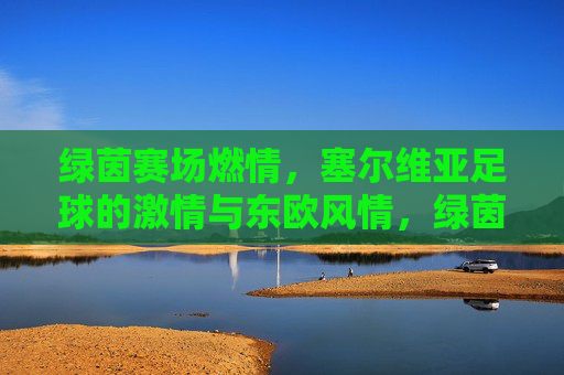 绿茵赛场燃情,塞尔维亚足球的激情与东欧风情,绿茵赛场燃情,塞尔维亚足球的激情与东欧风情