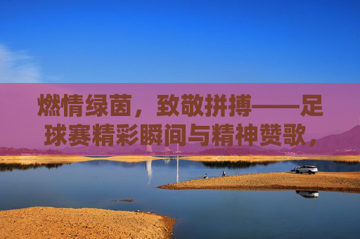 燃情绿茵，致敬拼搏——足球赛精彩瞬间与精神赞歌，燃情绿茵，致敬拼搏——足球赛精彩瞬间与精神赞歌