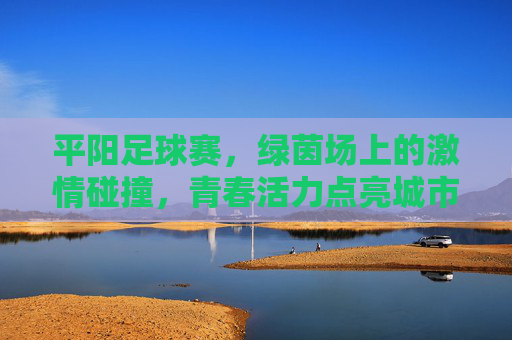 平阳足球赛，绿茵场上的激情碰撞，青春活力点亮城市，平阳足球赛，绿茵场激情碰撞，青春活力点亮城市