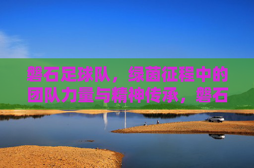 磐石足球队,绿茵征程中的团队力量与精神传承,磐石足球队,绿茵征程中的团队力量与精神传承