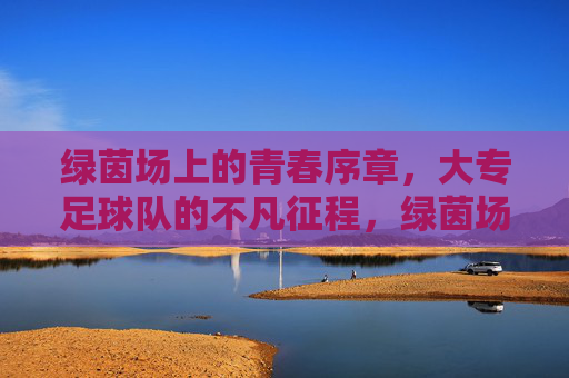 绿茵场上的青春序章,大专足球队的不凡征程,绿茵场上的青春序章,大专足球队的不凡征程