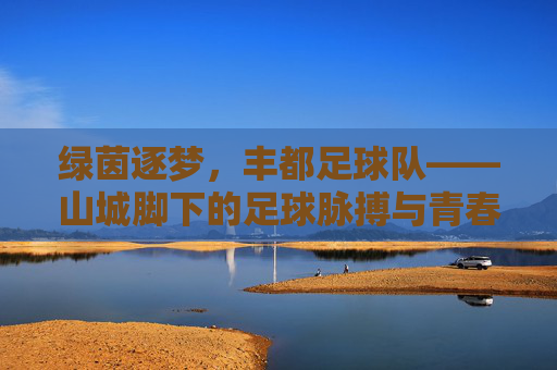 绿茵逐梦，丰都足球队——山城脚下的足球脉搏与青春力量，绿茵逐梦，丰都足球队——山城脚下的足球脉搏与青春力量