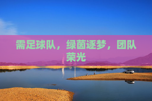 需足球队，绿茵逐梦，团队荣光