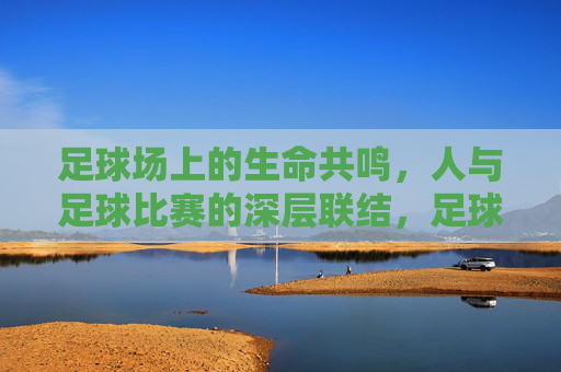 足球场上的生命共鸣,人与足球比赛的深层联结,足球场上的生命共鸣,人与足球比赛的深层联结