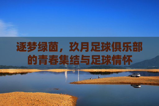 逐梦绿茵，玖月足球俱乐部的青春集结与足球情怀