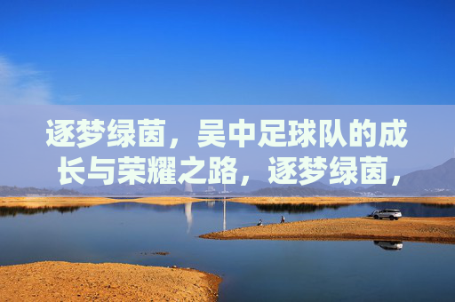 逐梦绿茵,吴中足球队的成长与荣耀之路,逐梦绿茵,吴中足球队的成长与荣耀之路