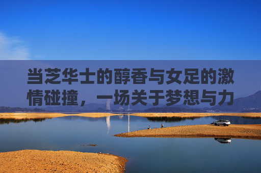 当芝华士的醇香与女足的激情碰撞,一场关于梦想与力量的对话