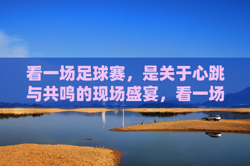 看一场足球赛，是关于心跳与共鸣的现场盛宴，看一场足球赛，心跳与共鸣的现场盛宴