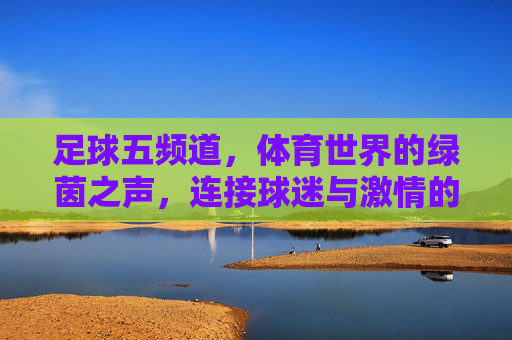 足球五频道，体育世界的绿茵之声，连接球迷与激情的桥梁，足球五频道，体育世界的绿茵之声，连接球迷与激情的桥梁