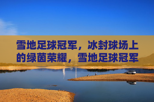 雪地足球冠军，冰封球场上的绿茵荣耀，雪地足球冠军，冰封球场上的绿茵荣耀