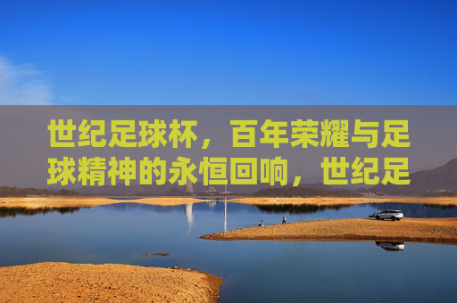 世纪足球杯，百年荣耀与足球精神的永恒回响，世纪足球杯，百年荣耀与足球精神的永恒回响