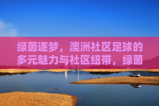 绿茵逐梦，澳洲社区足球的多元魅力与社区纽带，绿茵逐梦，澳洲社区足球的多元魅力与社区纽带