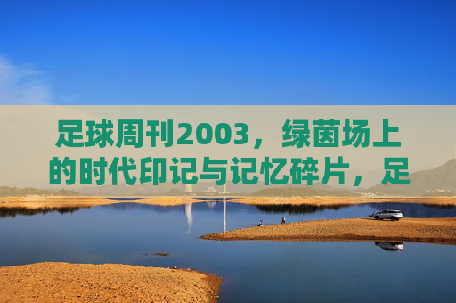 足球周刊2003,绿茵场上的时代印记与记忆碎片,足球周刊2003,绿茵场上的时代印记与记忆碎片