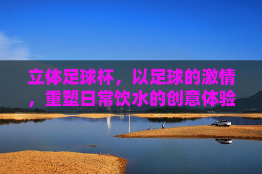 立体足球杯，以足球的激情，重塑日常饮水的创意体验，立体足球杯，以足球的激情，重塑日常饮水的创意体验
