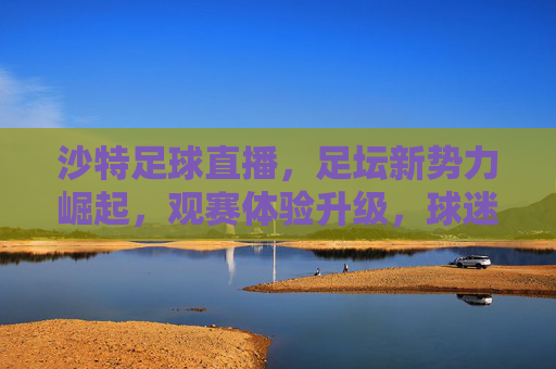 沙特足球直播，足坛新势力崛起，观赛体验升级，球迷的狂欢新选择，沙特足球直播，新势力崛起，观赛体验升级，球迷狂欢新选择
