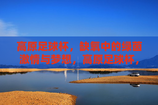 高原足球杯，缺氧中的绿茵激情与梦想，高原足球杯，缺氧中的绿茵激情与梦想