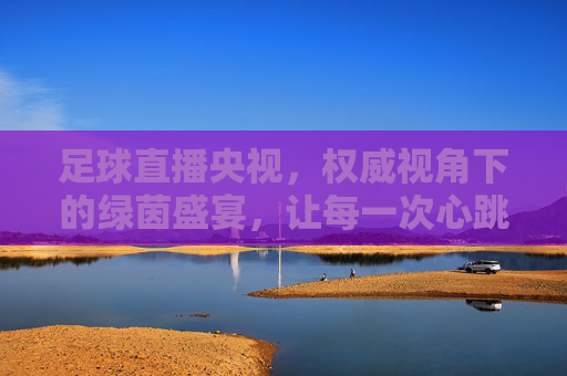 足球直播央视，权威视角下的绿茵盛宴，让每一次心跳都同步世界，足球直播央视，权威视角下的绿茵盛宴，让每一次心跳都同步世界