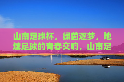 山南足球杯，绿茵逐梦，地域足球的青春交响，山南足球杯，绿茵逐梦，地域足球的青春交响