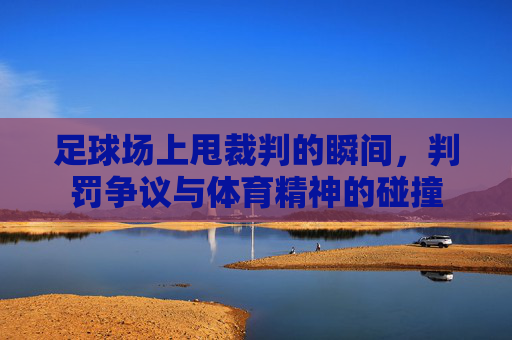 足球场上甩裁判的瞬间，判罚争议与体育精神的碰撞