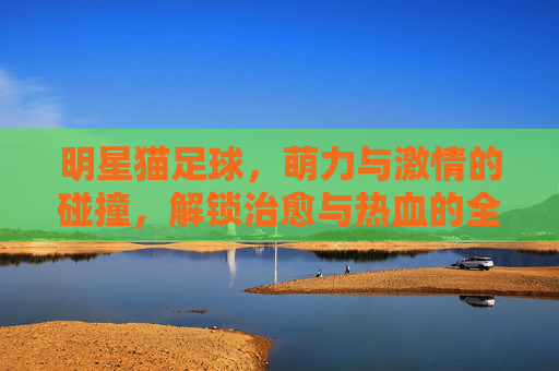 明星猫足球,萌力与激情的碰撞,解锁治愈与热血的全新体验,明星猫足球,萌力与激情的碰撞,解锁治愈与热血的全新体验