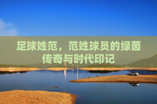 足球姓范,范姓球员的绿茵传奇与时代印记