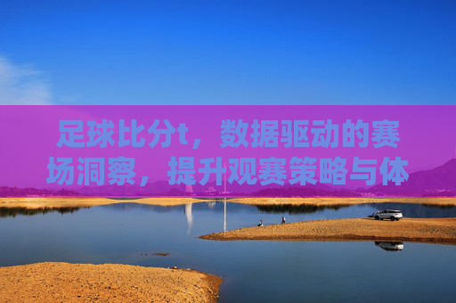 足球比分t，数据驱动的赛场洞察，提升观赛策略与体验，足球比分t，数据驱动的赛场洞察，提升观赛策略与体验