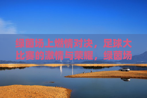 绿茵场上燃情对决,足球大比赛的激情与荣耀,绿茵场上燃情对决,足球大比赛的激情与荣耀